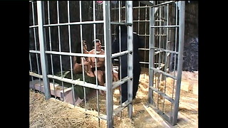 Planet Of The Stunners #1